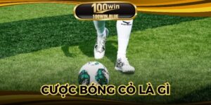 Cược Bóng Cỏ Là Gì? Hình Thức Trực Tuyến Hot Nhất 2025