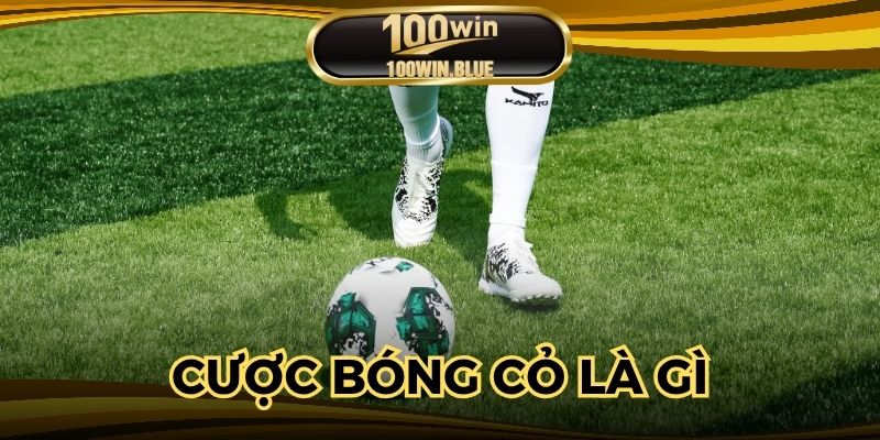 Cược Bóng Cỏ Là Gì? Hình Thức Trực Tuyến Hot Nhất 2025